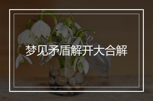 梦见矛盾解开大合解