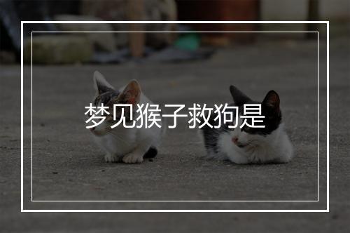 梦见猴子救狗是