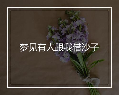 梦见有人跟我借沙子