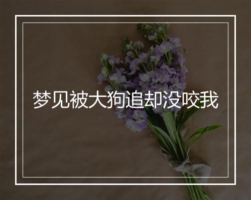 梦见被大狗追却没咬我