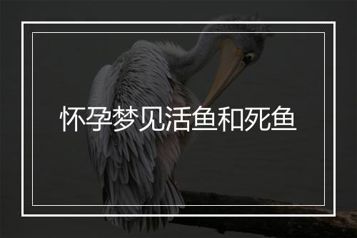 怀孕梦见活鱼和死鱼