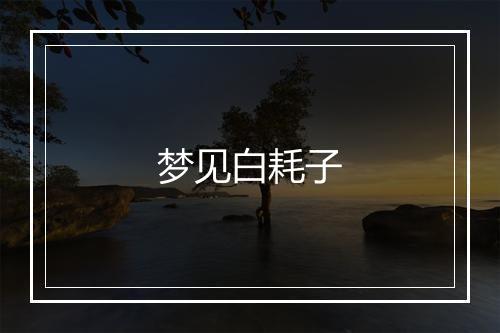 梦见白耗子