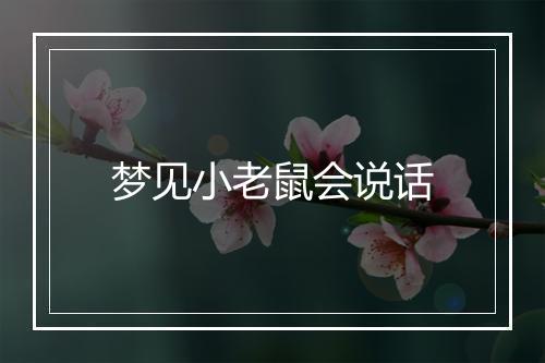 梦见小老鼠会说话