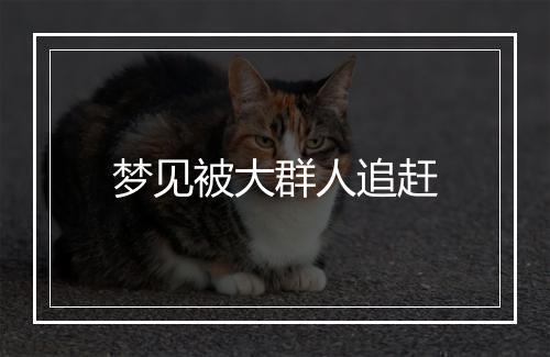 梦见被大群人追赶