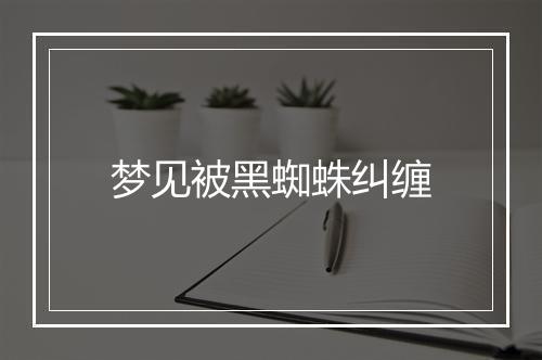 梦见被黑蜘蛛纠缠