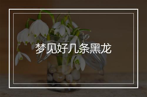 梦见好几条黑龙