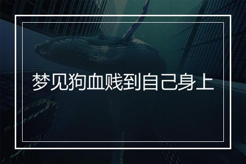 梦见狗血贱到自己身上