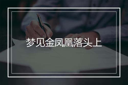 梦见金凤凰落头上