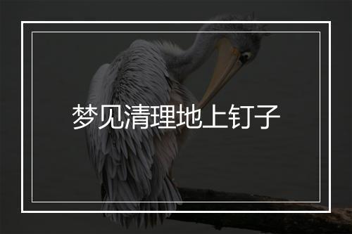 梦见清理地上钉子