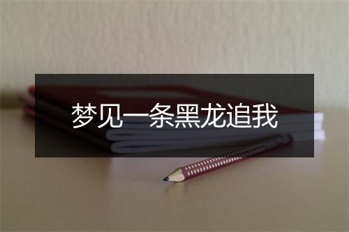 梦见一条黑龙追我