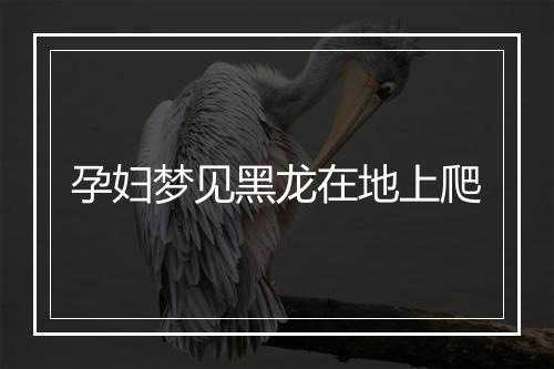 孕妇梦见黑龙在地上爬