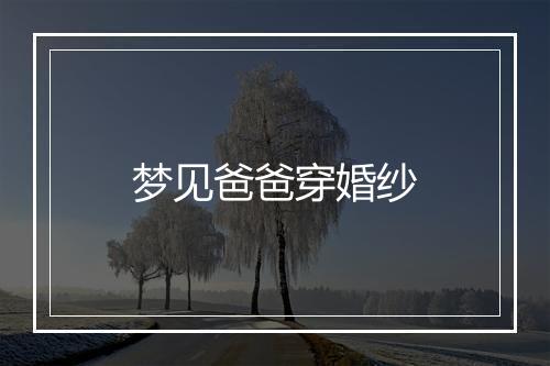 梦见爸爸穿婚纱