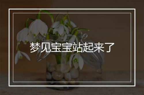 梦见宝宝站起来了