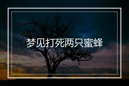 梦见打死两只蜜蜂