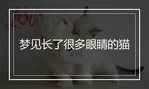 梦见长了很多眼睛的猫