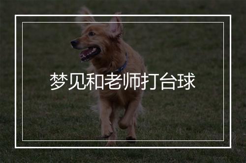 梦见和老师打台球