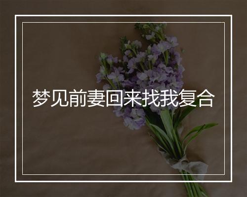 梦见前妻回来找我复合