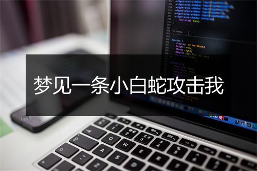 梦见一条小白蛇攻击我