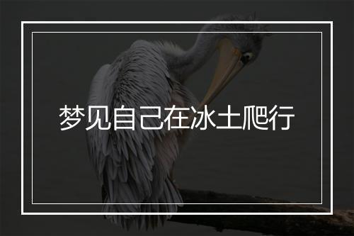 梦见自己在冰土爬行