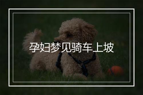 孕妇梦见骑车上坡