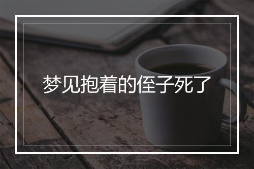 梦见抱着的侄子死了