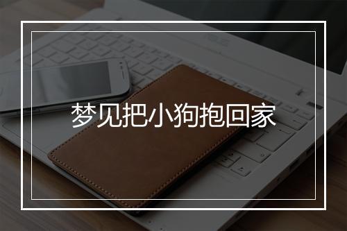 梦见把小狗抱回家