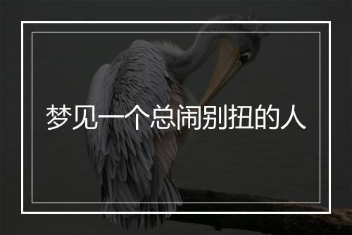 梦见一个总闹别扭的人