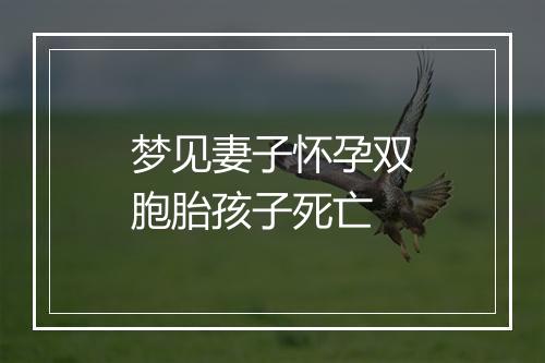 梦见妻子怀孕双胞胎孩子死亡