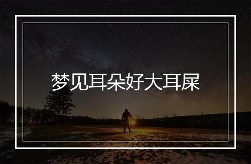 梦见耳朵好大耳屎