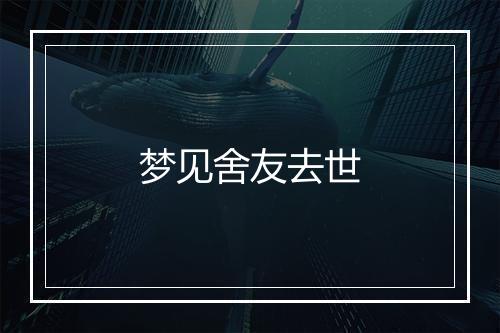 梦见舍友去世