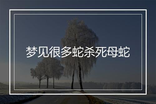 梦见很多蛇杀死母蛇