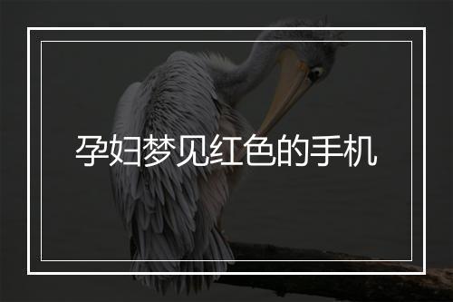 孕妇梦见红色的手机