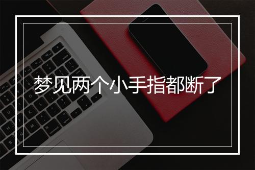 梦见两个小手指都断了