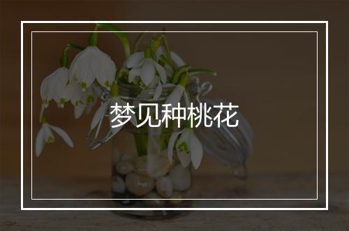 梦见种桃花