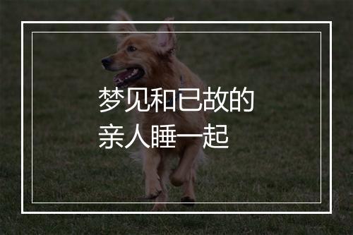 梦见和已故的亲人睡一起