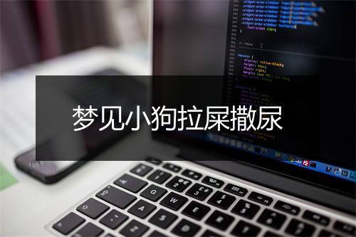 梦见小狗拉屎撒尿