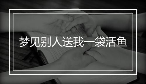 梦见别人送我一袋活鱼