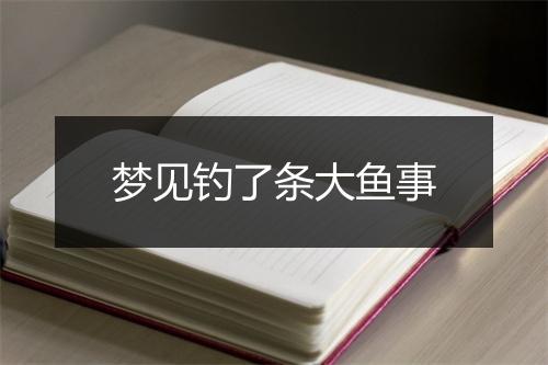 梦见钓了条大鱼事