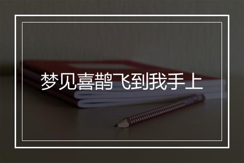 梦见喜鹊飞到我手上