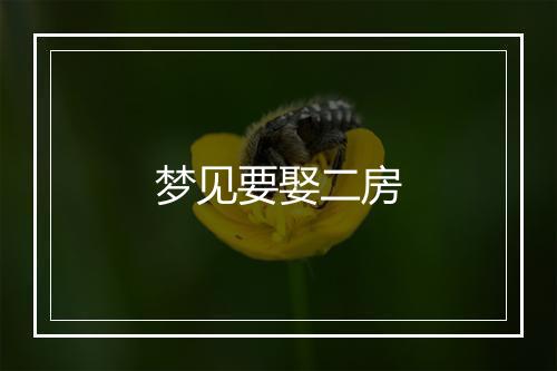 梦见要娶二房