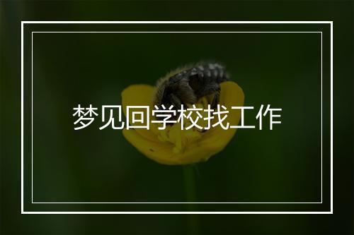 梦见回学校找工作