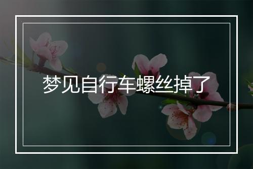 梦见自行车螺丝掉了