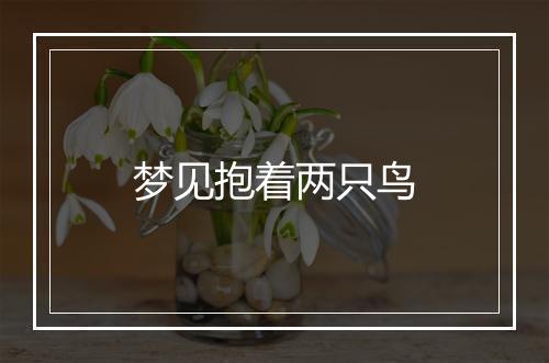 梦见抱着两只鸟