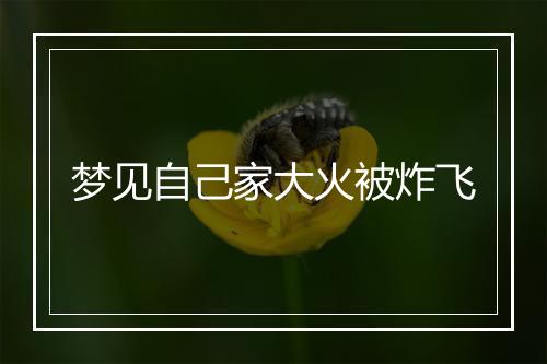 梦见自己家大火被炸飞