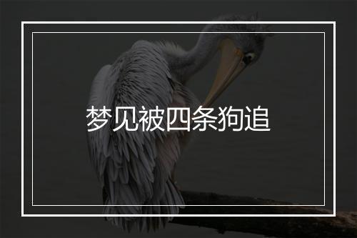 梦见被四条狗追