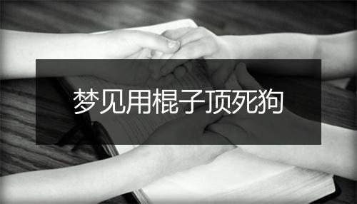 梦见用棍子顶死狗