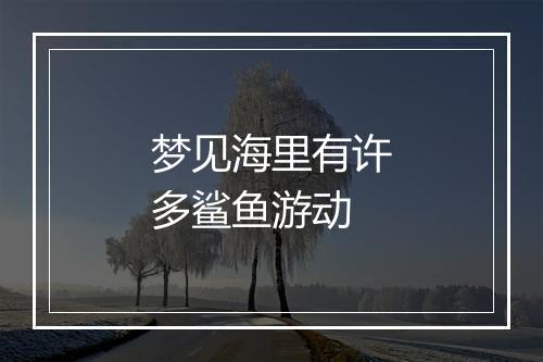 梦见海里有许多鲨鱼游动