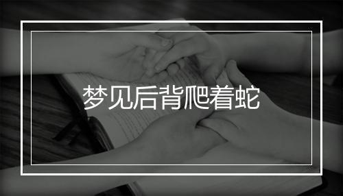 梦见后背爬着蛇