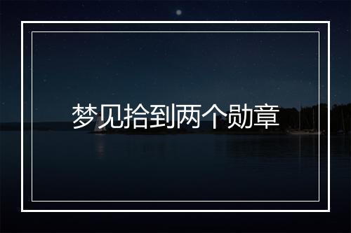 梦见拾到两个勋章