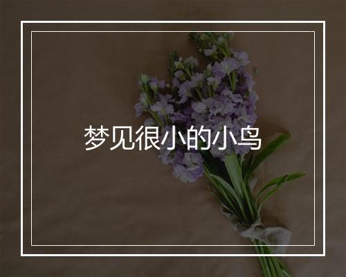 梦见很小的小鸟